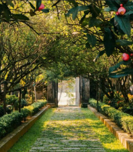 A Day Net Zero Tour In Hue “Towards Green And Sustainable Life”