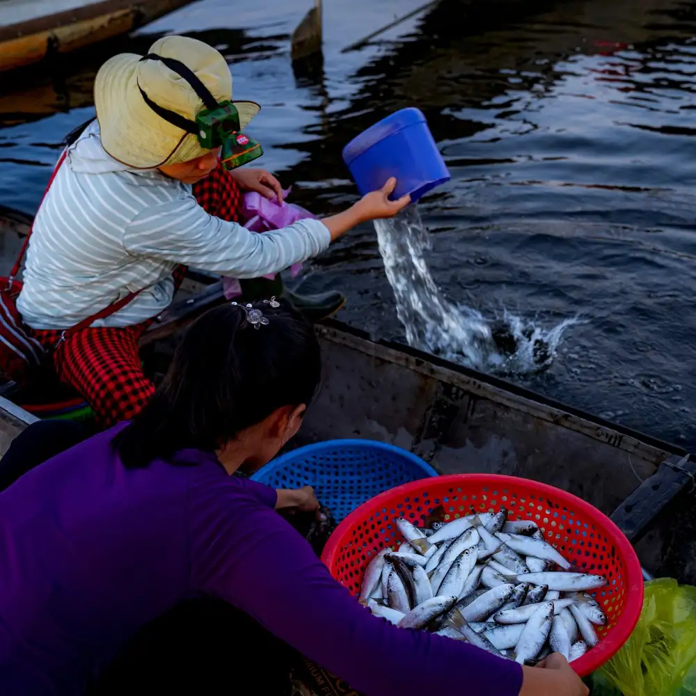 SUNRISE FLOATING MARKET ON TAM GIANG LAGOON
