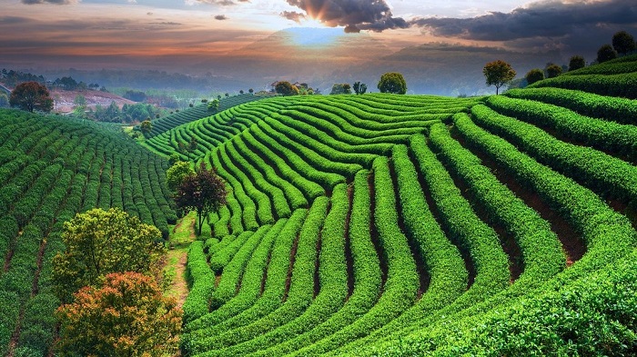 Một Hành Trình – 4 Điểm Đến