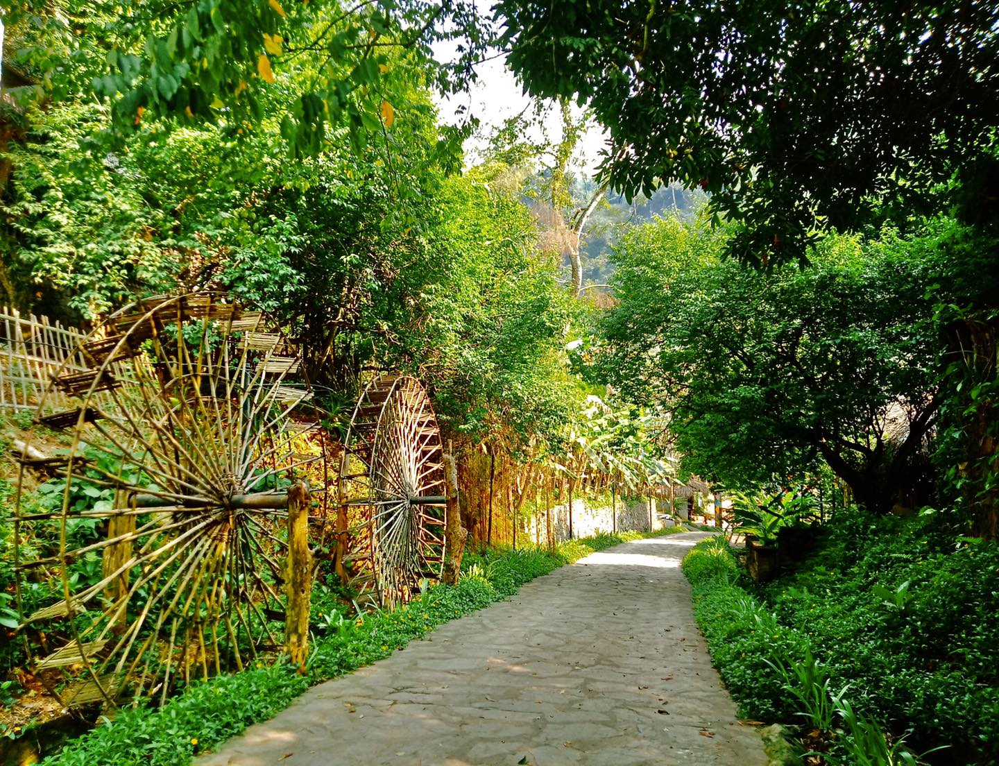 Hoa Binh