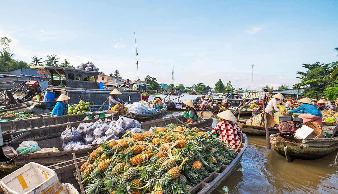 Mekong Delta