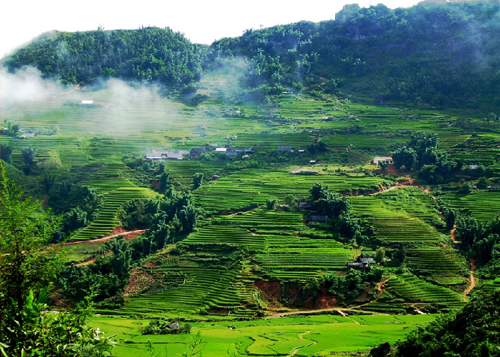 Hoa Binh