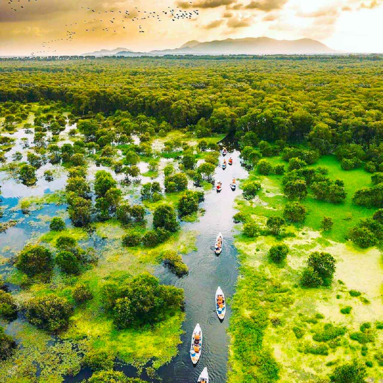 Mekong Delta