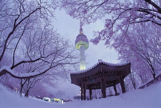 ĐÓN TẾT BÍNH NGỌ 2026 TẠI XỨ SỞ KIM CHI SEOUL – ĐẢO NAMI – LOTTE WORLD – TRƯỢT TUYẾT