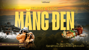 Lưu bản nháp tự động